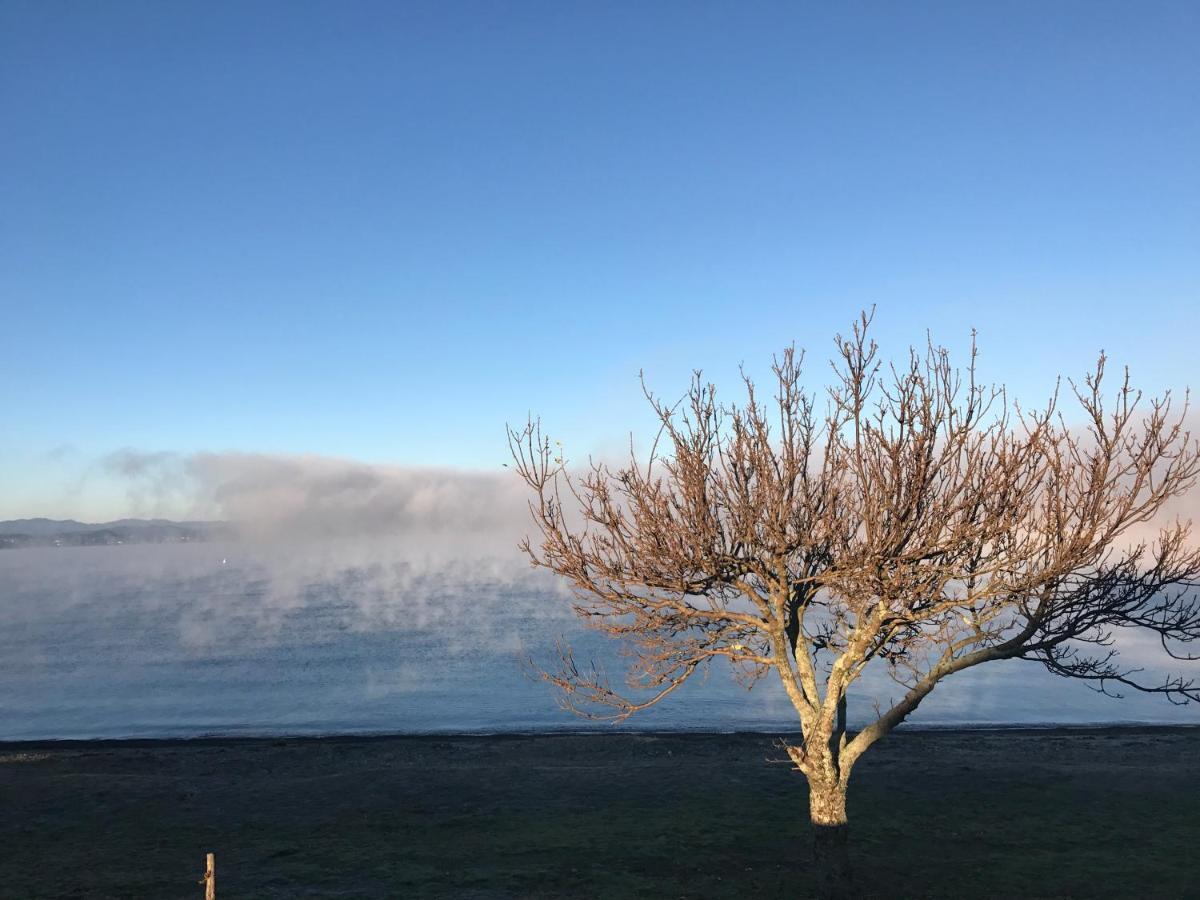 Lakeview Hideaway Taupo